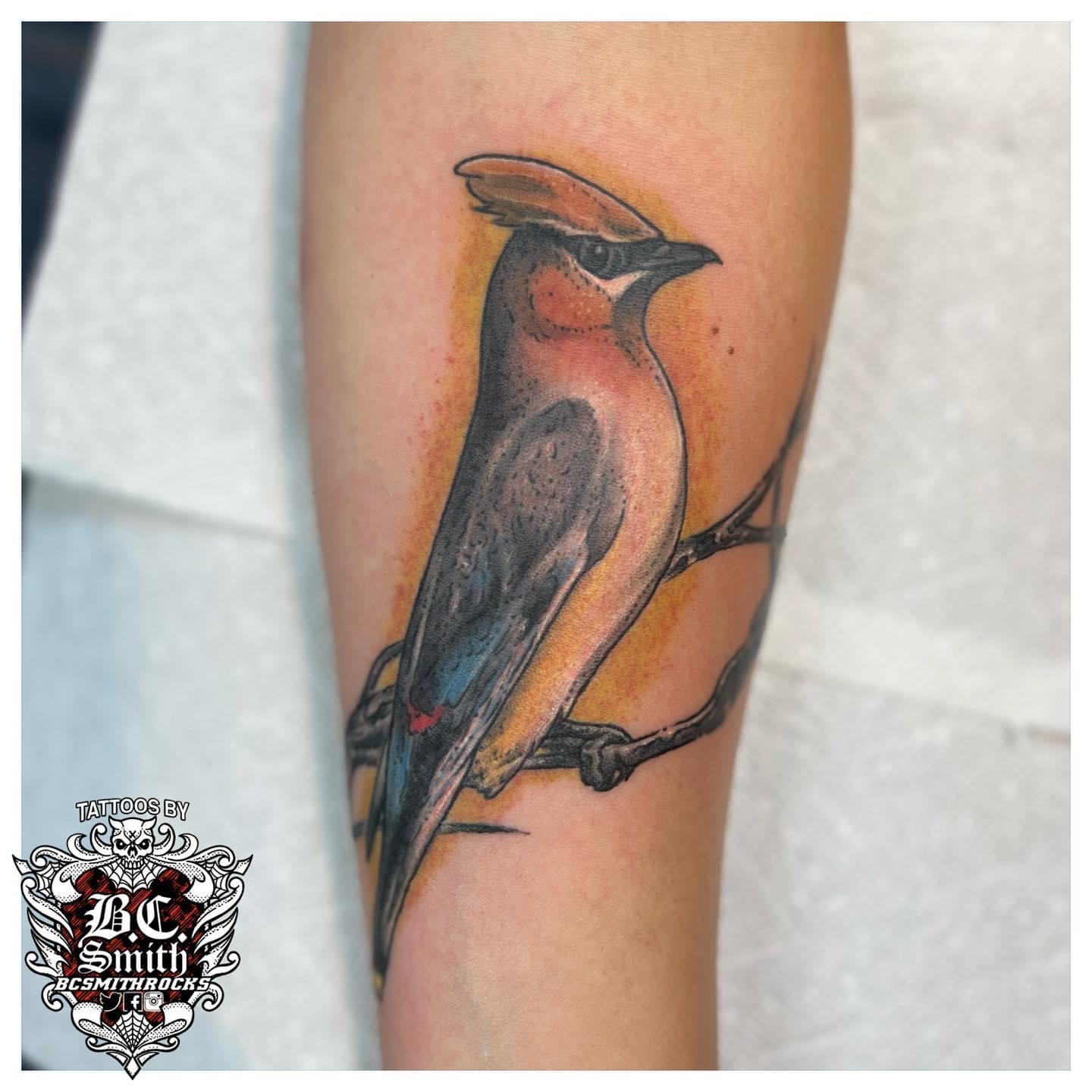 kelsey elliss Instagram photo Cedar waxwing Thanks heaps to Julia  for getting this guy lovely meeting you guys   Pattern tattoo Tattoos  Tattoo artists